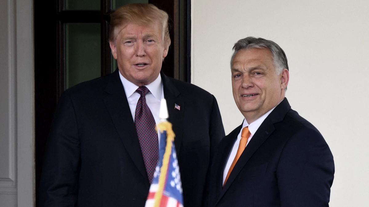 viktor orban a vorbit la telefon cu trump cu cateva zile inainte de alegerile din sua ii tin pumnii