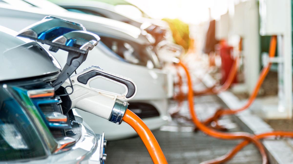 china contesta la omc taxele ue pentru importurile de masini electrice