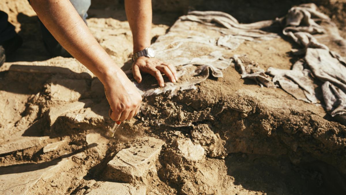 descoperire arheologica socanta 76 de copii sacrificati cu pieptul desfacut si craniul modificat scopul ofrandei macabre