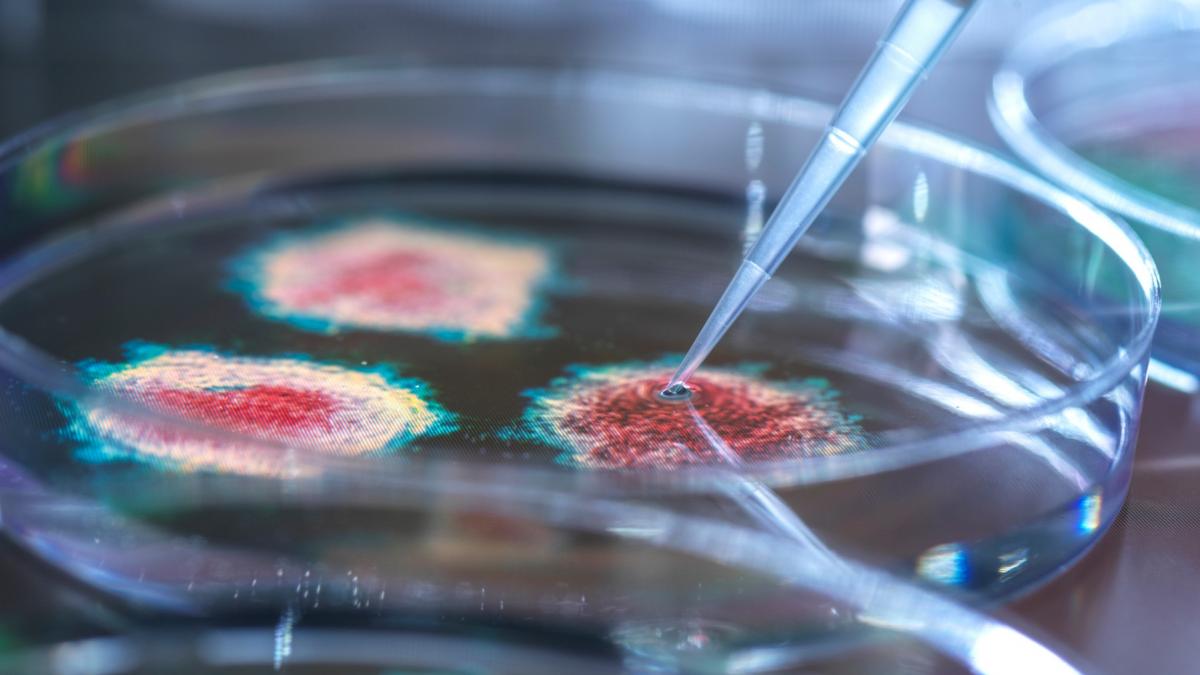 tara in care a fost descoperit un virus care poate ucide superbacteriile oamenii de stiinta spun ca ar putea salva vieti