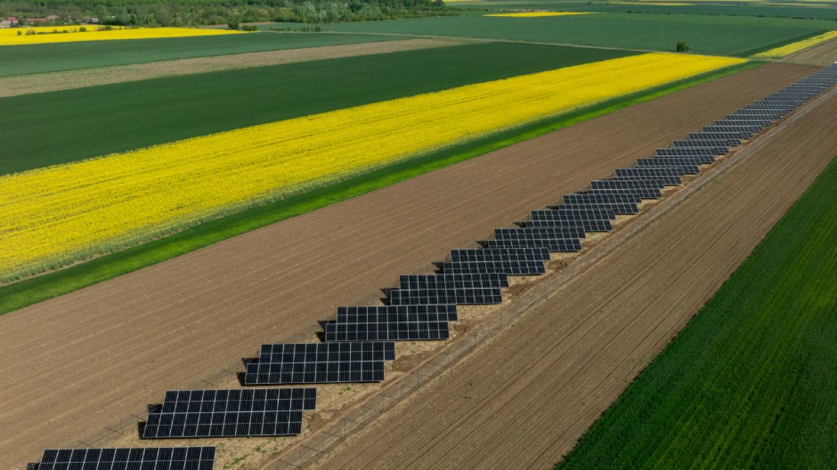 w4energy sprijina tranzitia energetica cu proiecte de amploare