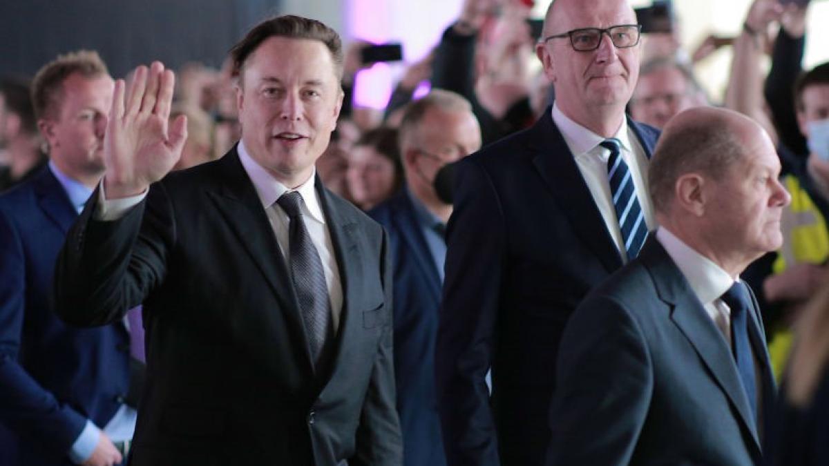 ce crede elon musk despre olaf scholz e un prost