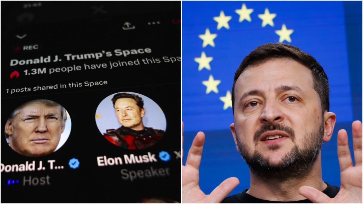 elon musk a intrat pe fir in discutia telefonica dintre volodimir zelenski si donald trump