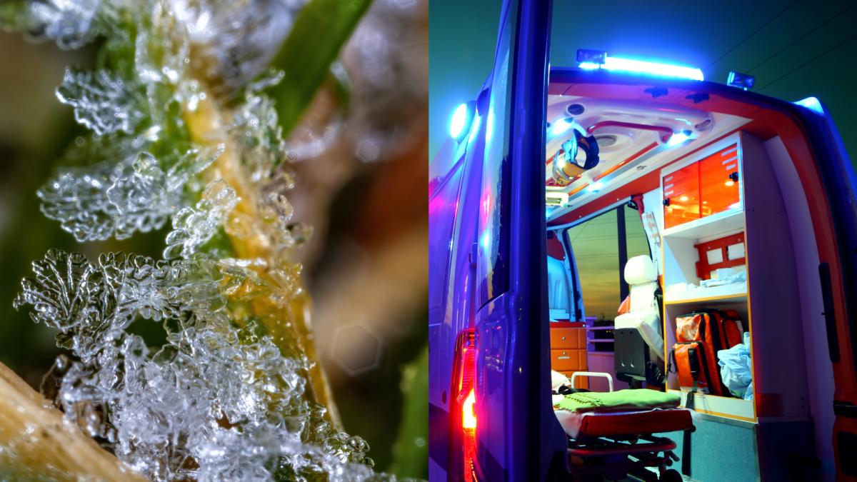 gerul face primele victime din acest sezon rece in romania doi barbati au murit de frig pe un drum din harghita