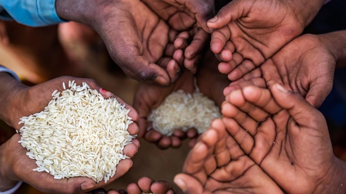 onu nordul fasiei gaza este in pragul foametei armata israeliana pune la indoiala raportul