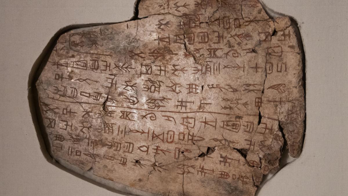 descoperire arheologica inedita oasele oracol vechi de 3 250 de ani cum erau folosite pentru a prezice viitorul in china antica