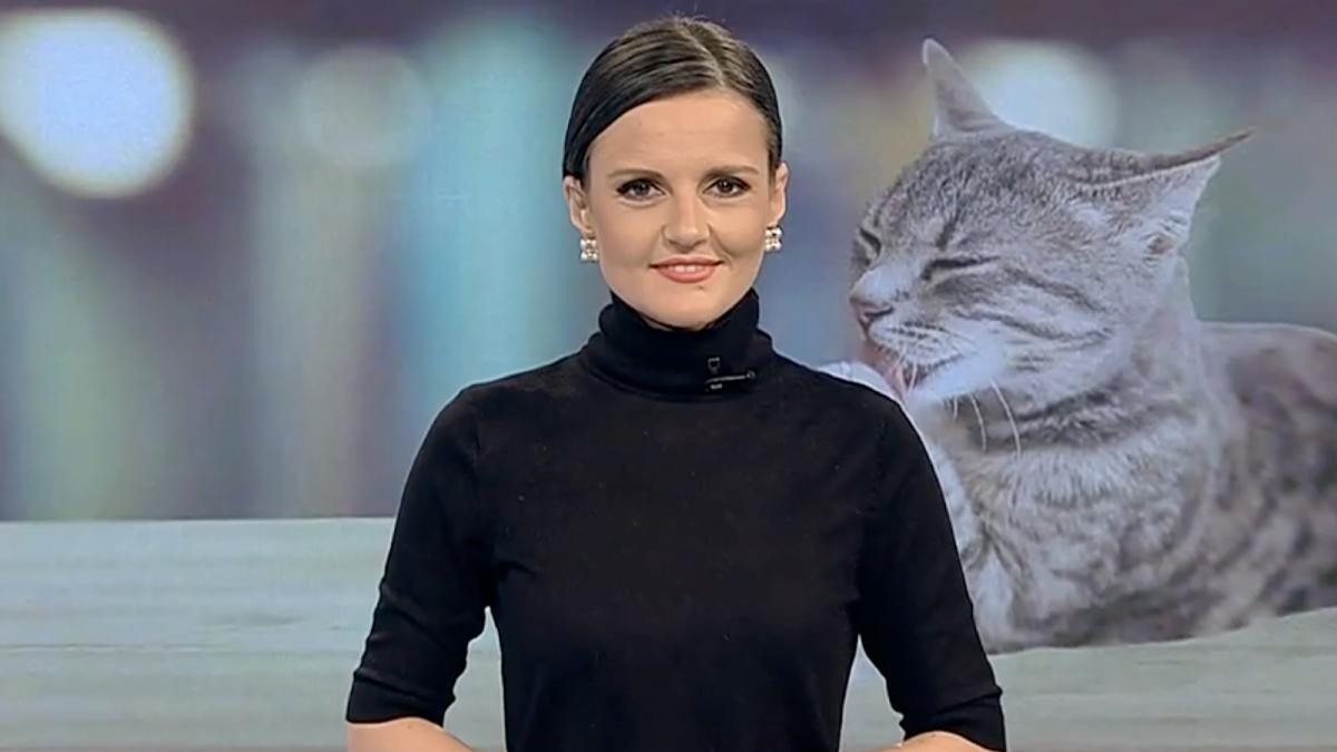 cum se scrie corect sendvis sandvici sau sandwich