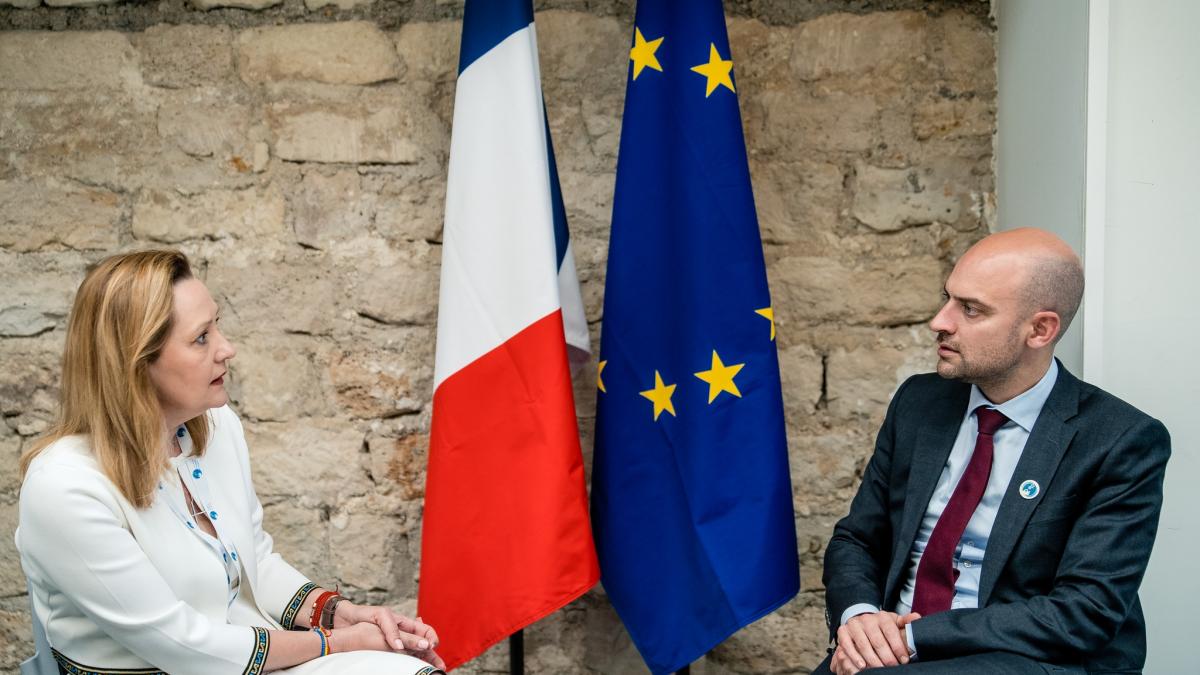 elena lasconi s a plans guvernului frantei de manipulari si a cerut ca alegerile din romania sa fie monitorizate international