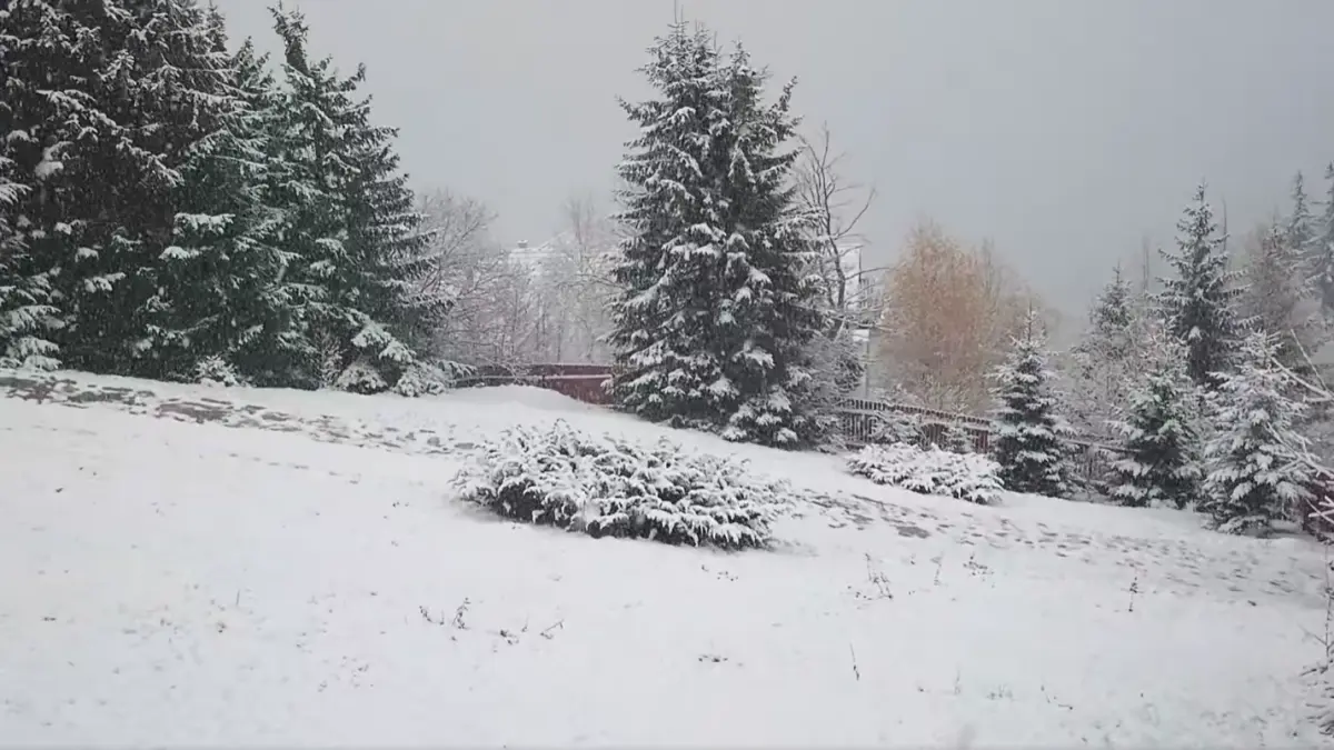 ninge pe a1 iar vizibilitatea e redusa zapada de 5 cm in statiunea parang temperaturile scad in bucuresti sunt minus 2 grade