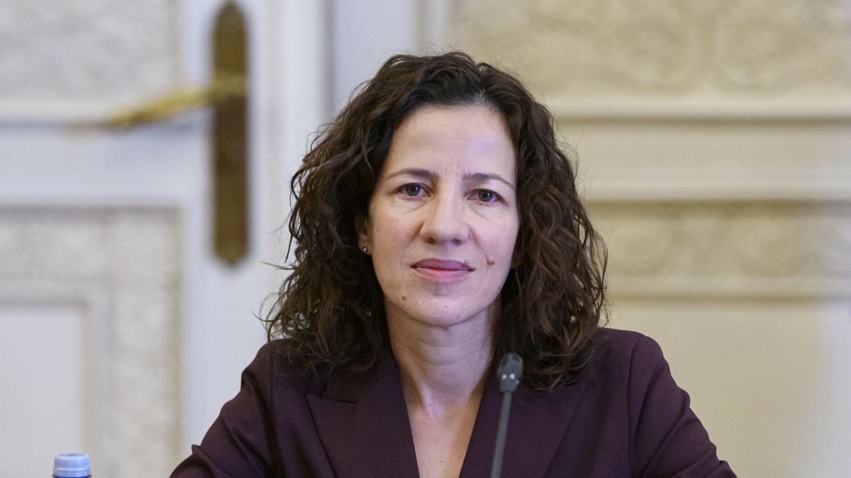 rozana minzatu si ceilalti cinci comisari audiati nu au convins ca sunt bine pregatiti ce urmeaza acum in parlamentul european