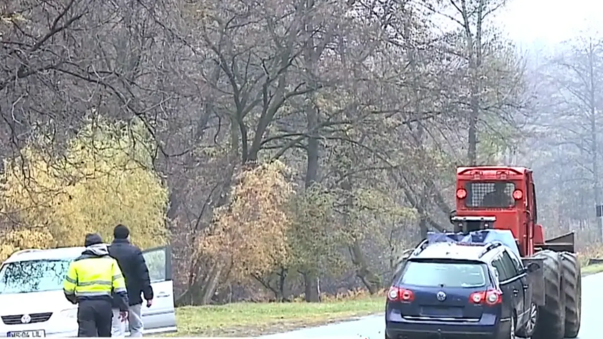 o batrana a murit intr un accident dupa ce nepoata care voia sa o duca la medic a pierdut controlul masinii si a intrat intr un copac