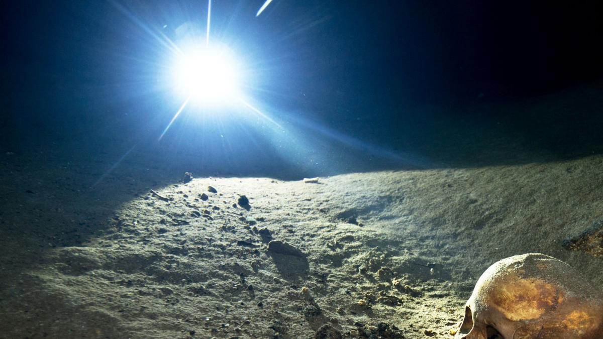 descoperire macabra un schelet de copil a fost gasit pe un santier la timisoara descoperire macabra un schelet de copil a fost gasit pe un santier la timisoara