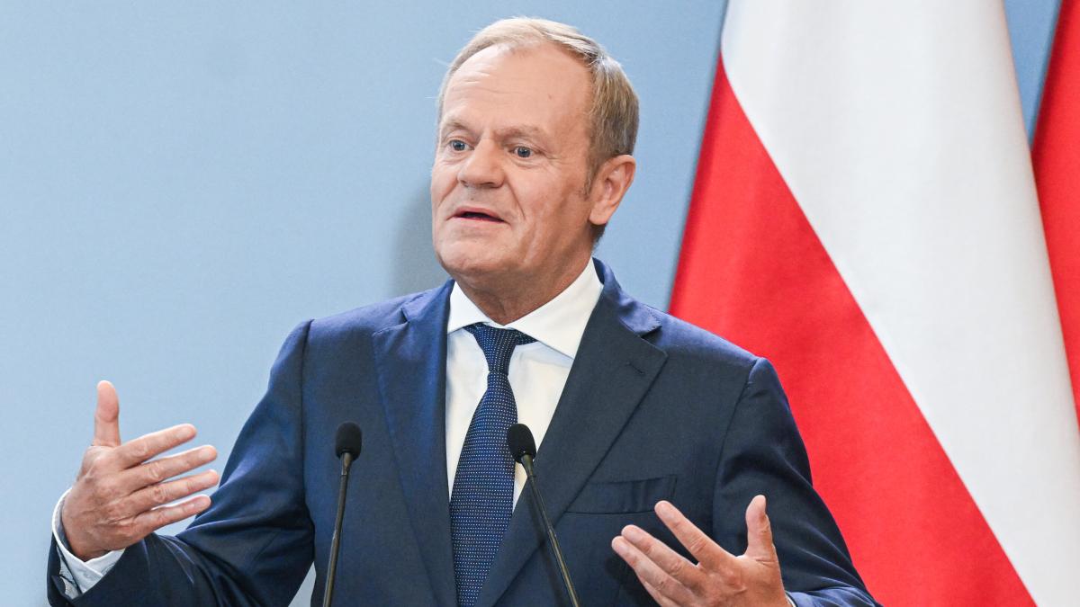 donald tusk il ironizeaza pe olaf scholz pentru discutia cu putin diplomatia prin telefon nu poate inlocui sprijinul veritabil