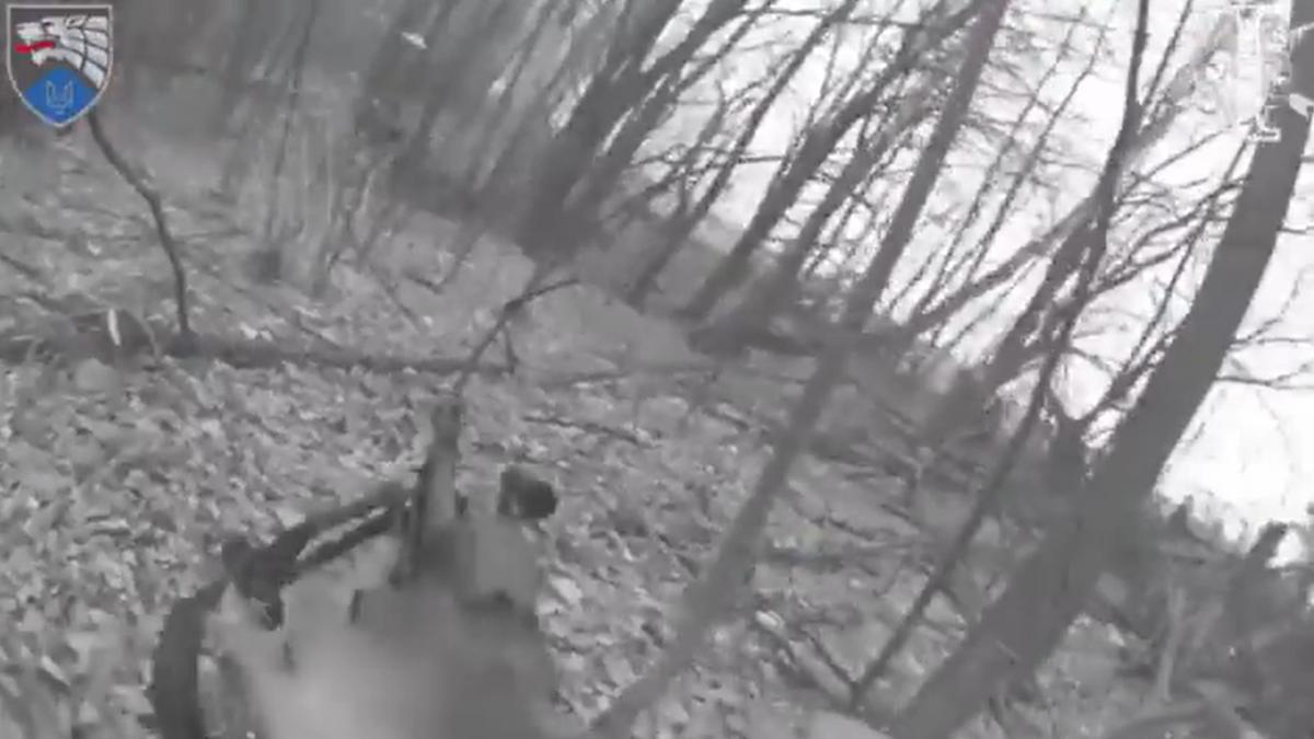 imagini cu confruntari de aproape in padurile din kursk ucrainenii se lupta cu rusii pentru controlul teritoriului