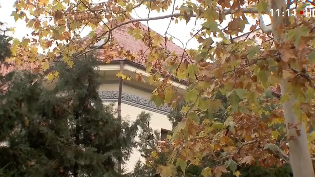 de ce nu s a putut vinde vila lui prigoana declaratia agentului imobiliar care s a ocupat de ea