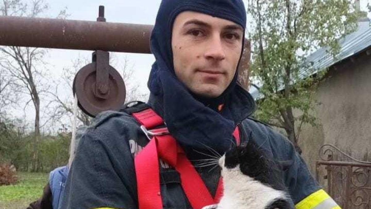 foto o pisicuta a fost salvata de pompieri dintr o fantana adanca de 16 metri in buzau