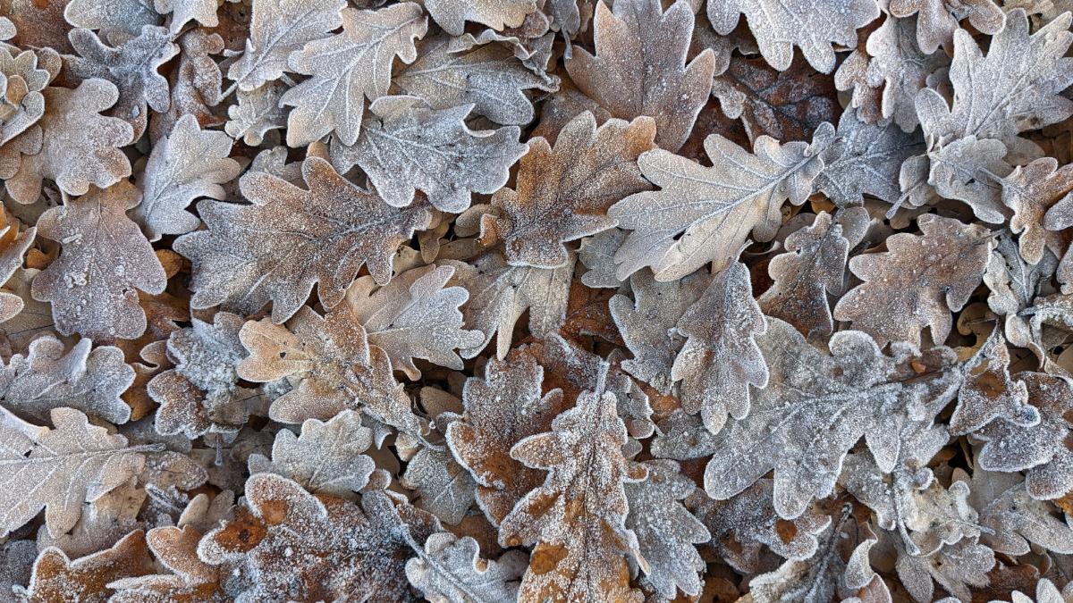 prognoza meteo pentru luni 25 noiembrie cum va fi vremea in toata tara