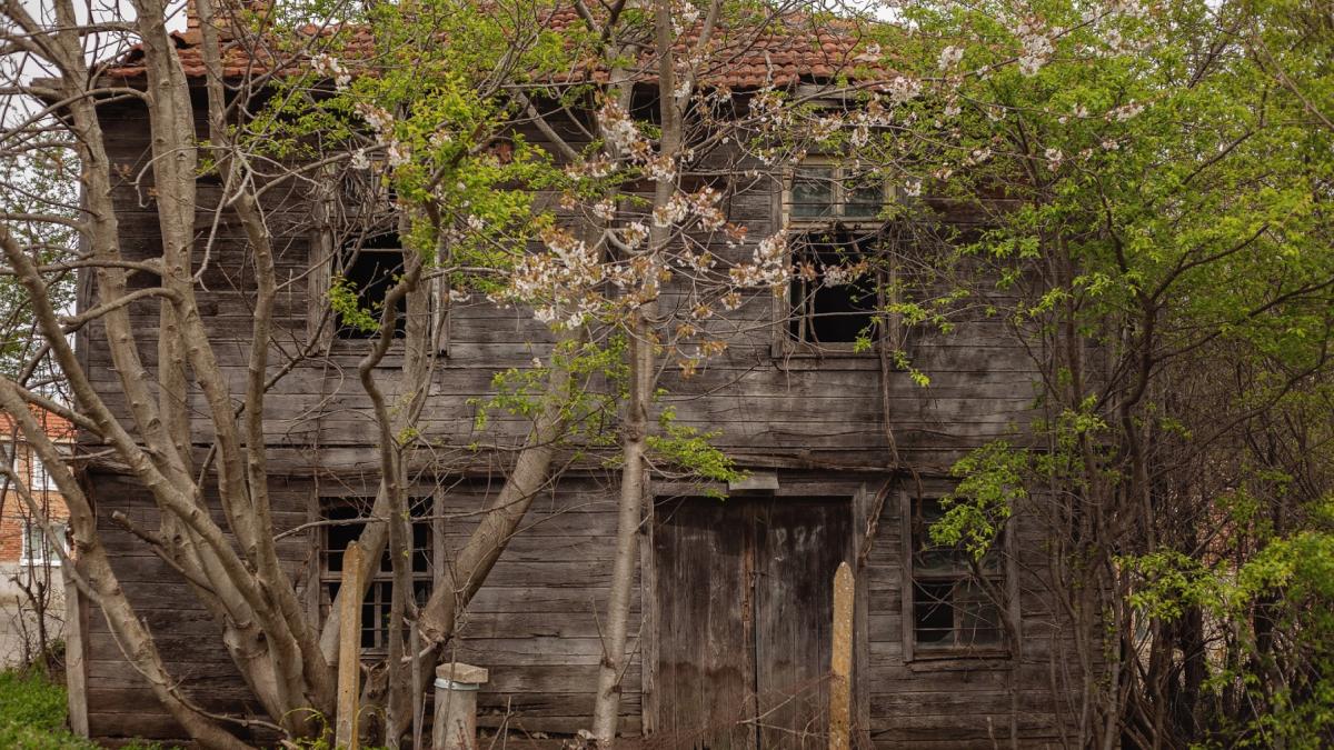 marele abandon cum arata lumea dupa ce oamenii dispar