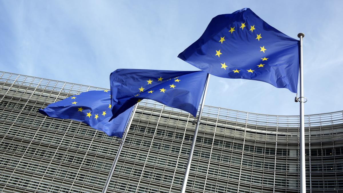 parlamentul european convoaca reprezentantii tik tok pentru o audiere oficiala pe tema sigurantei democratice si digitale