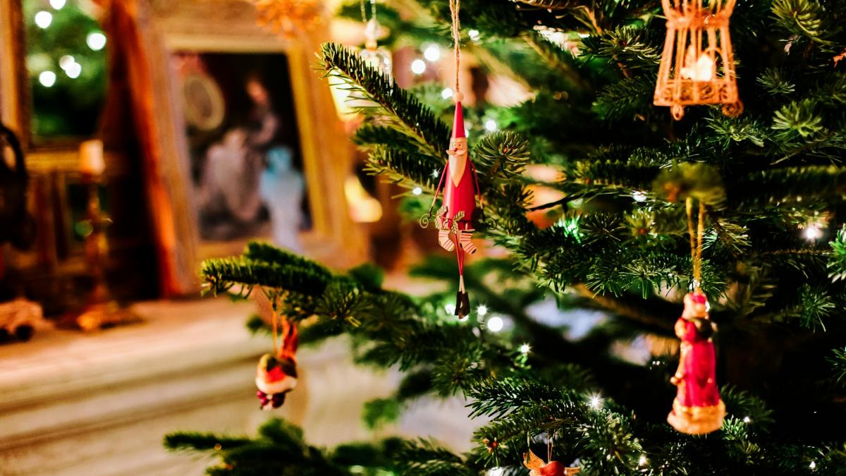 avantajele inchirierii unui brad gata impodobit pentru biroul tau
