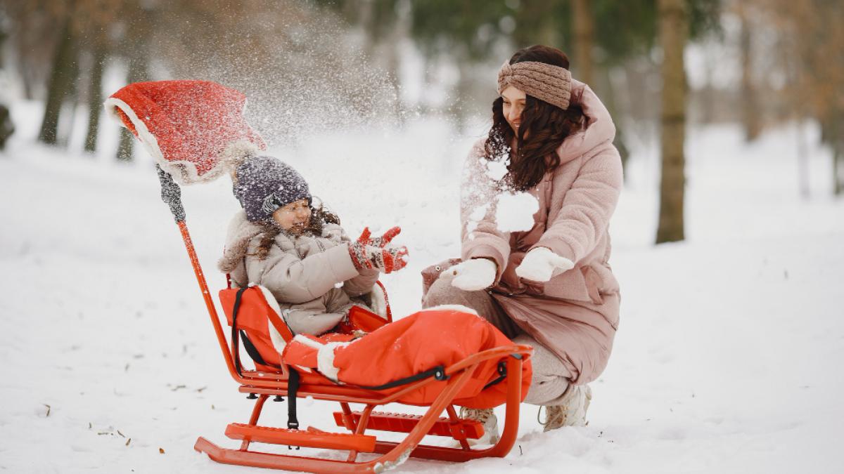 sanie din lemn vs plastic ce sa alegi pentru o experienta memorabila pe partie