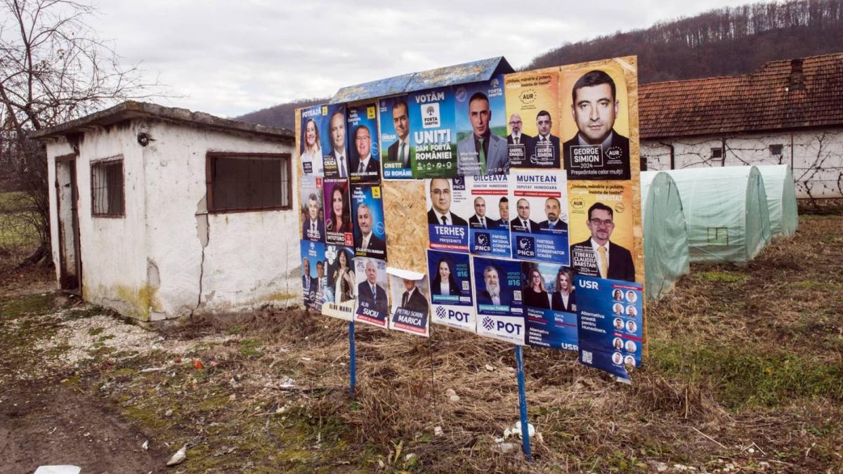 piticii de pe buletinul de vot cine sunt pot si sens dar si cele doua clone ale psd