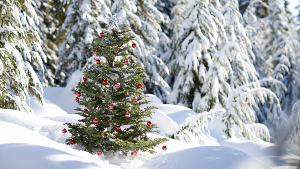 prognoza meteo pentru urmatoarele patru saptamani cum va fi vremea de sarbatori