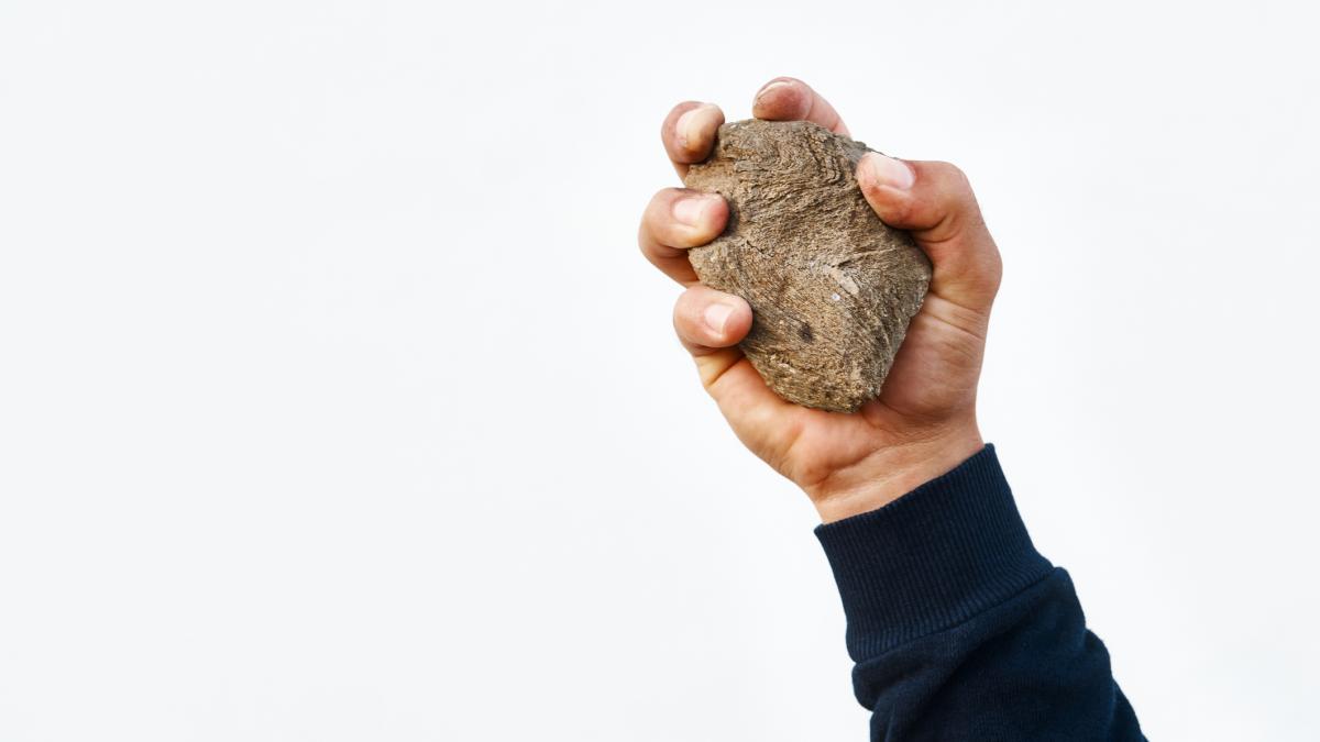 artisti din ploiesti atacati cu pietre dupa un spectacol gratuit intr un cartier marginas pe motiv ca n au adus cadouri si bani