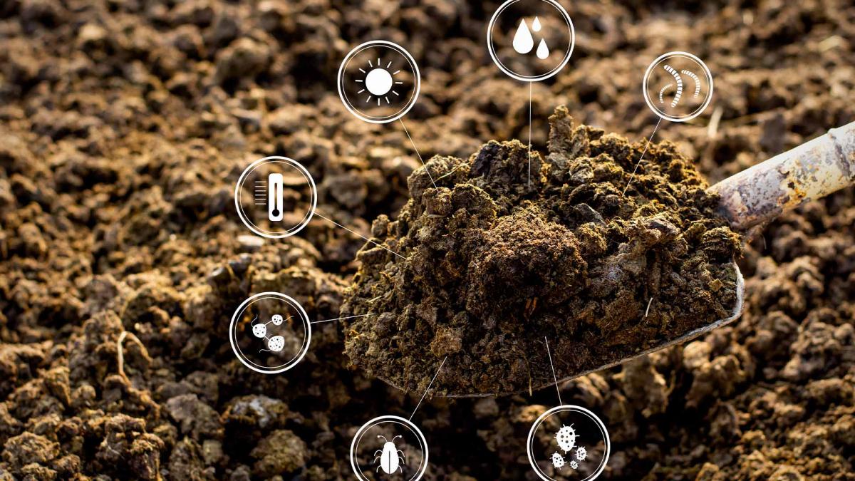 cum sa mentii solul fertil pe termen lung