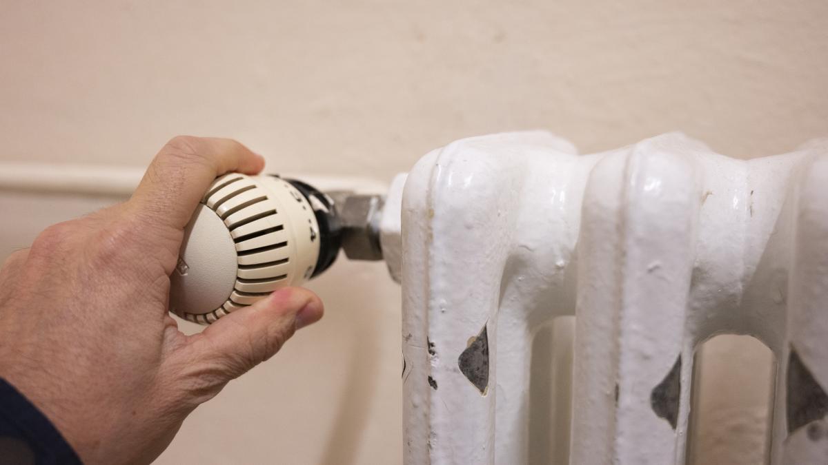 cursurile liceului nicolae iorga din bucuresti au fost suspendate din cauza lipsei caldurii