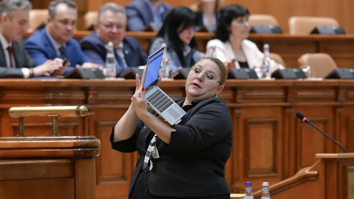 lista completa a noilor parlamentari diana sosoaca se intoarce in senat in parlament revine si gigi becali
