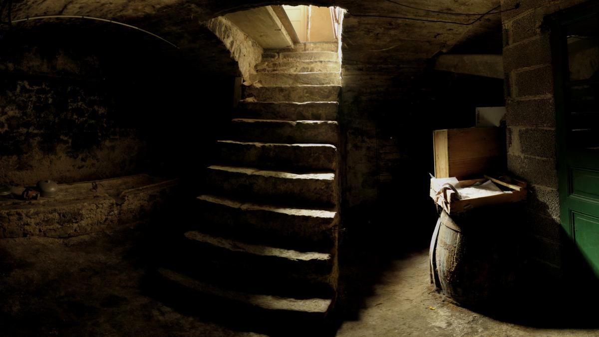 niste muncitori din austria au gasit un cadavru intr o pivnita in timp ce renovau o casa era ingropat acolo de 25 de ani