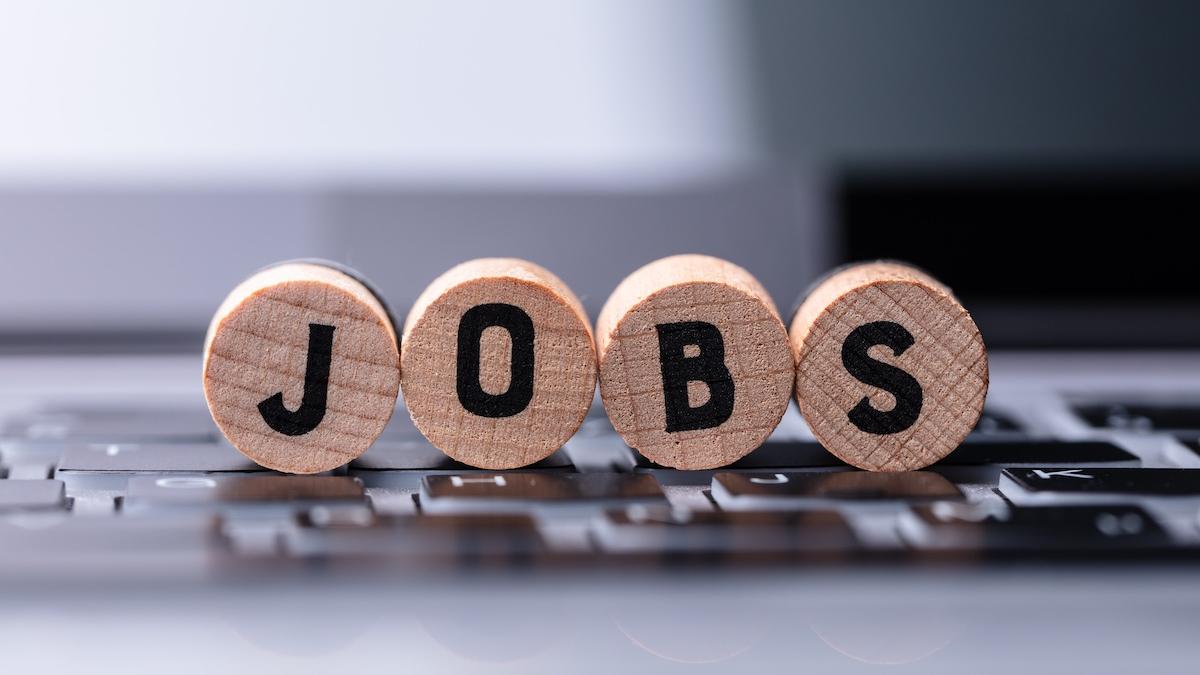 trei meserii noi au fost introduse in clasificarea ocupatiilor din romania