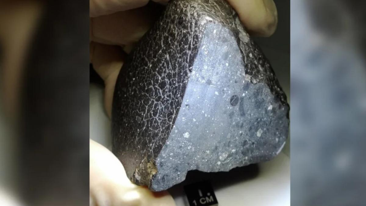 black beauty a fost gasita pe pamant in 2011 acum oamenii de stiinta spun ca a dezvaluit un indiciu despre viata pe marte