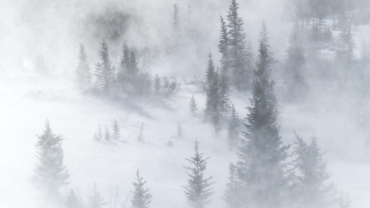 e cod galben de ninsori si vant puternic in zonele montane din trei judete anuntul anm