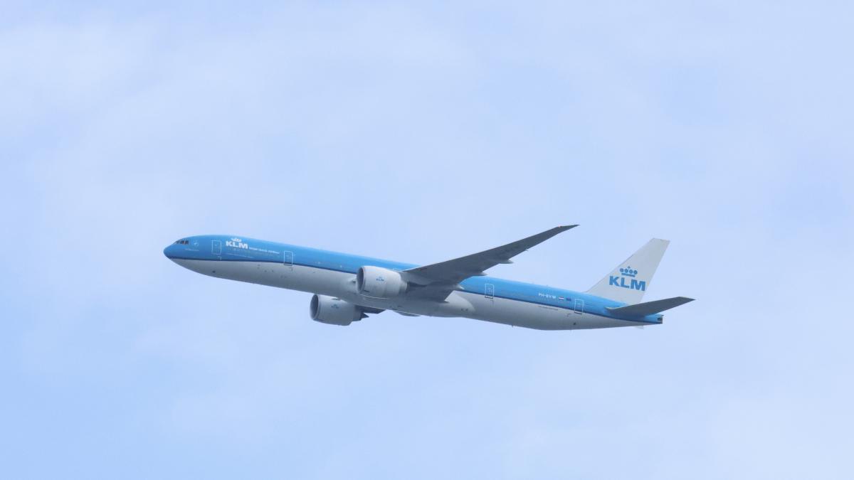 un avion a aterizat de urgenta la jumatatea traseului pentru ca pasagerii n au mai suportat mirosul celor 100 de porci din cala