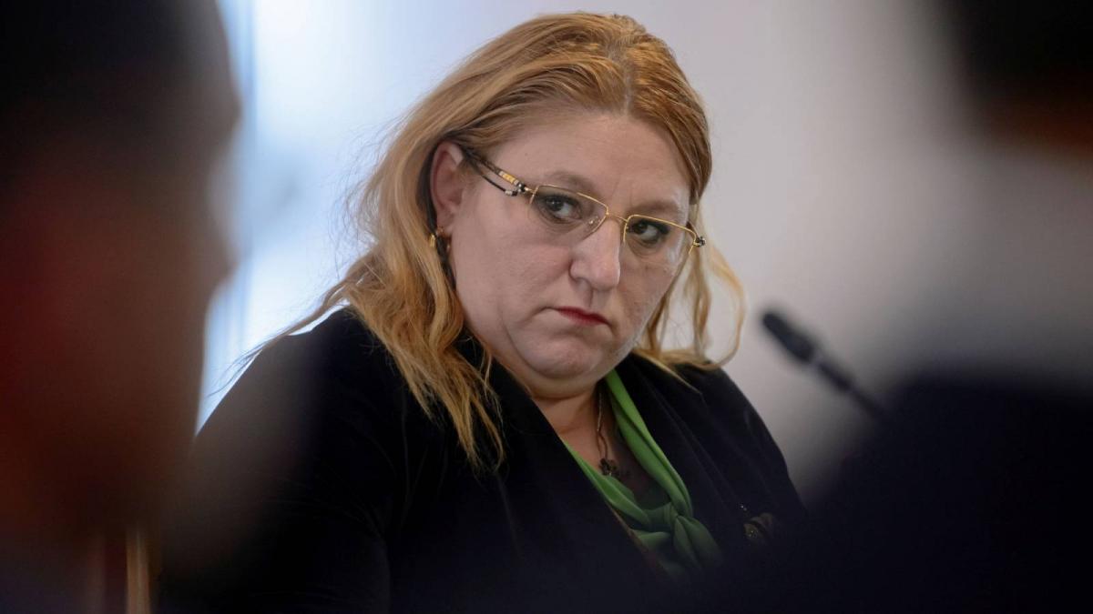 diana sosoaca suparata ca nu mai este vedeta pe tiktok inainte sa vina georgescu eu detineam recordul de vizualizari