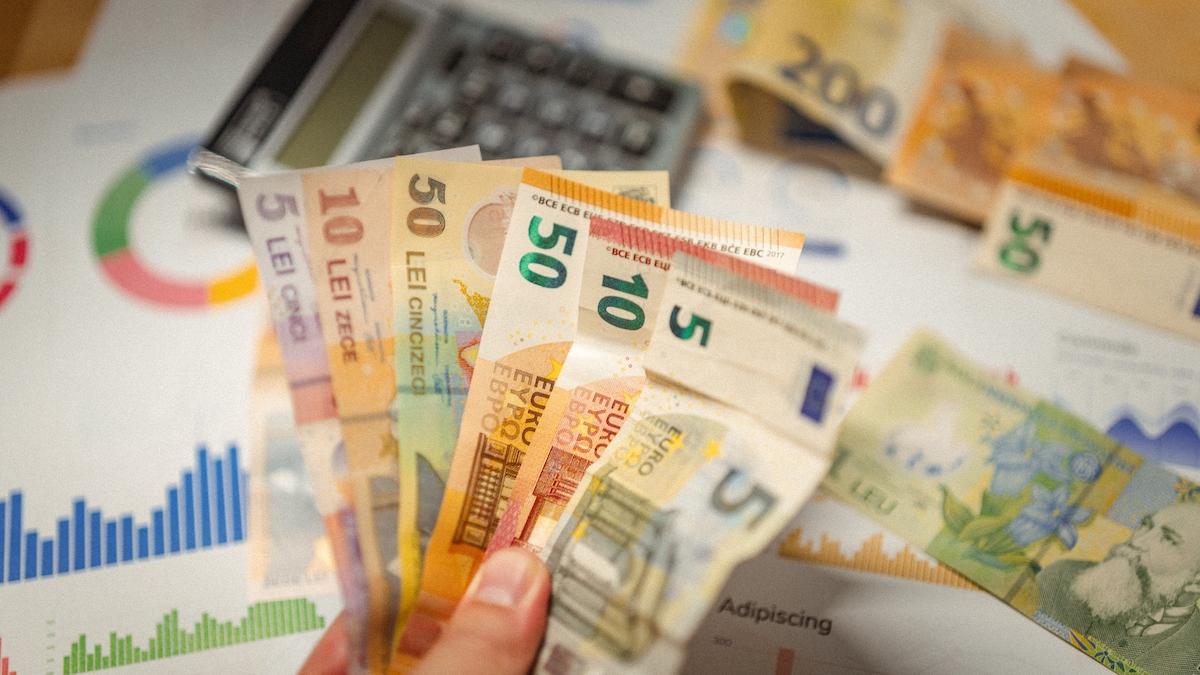economisim in lei sau in euro avantaje si dezavantaje
