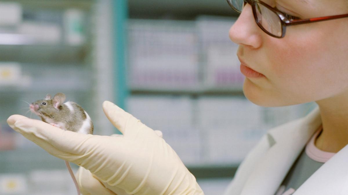 cum ar putea sperma de soareci pastrata in capsule care orbiteaza pamantul sa salveze umanitatea