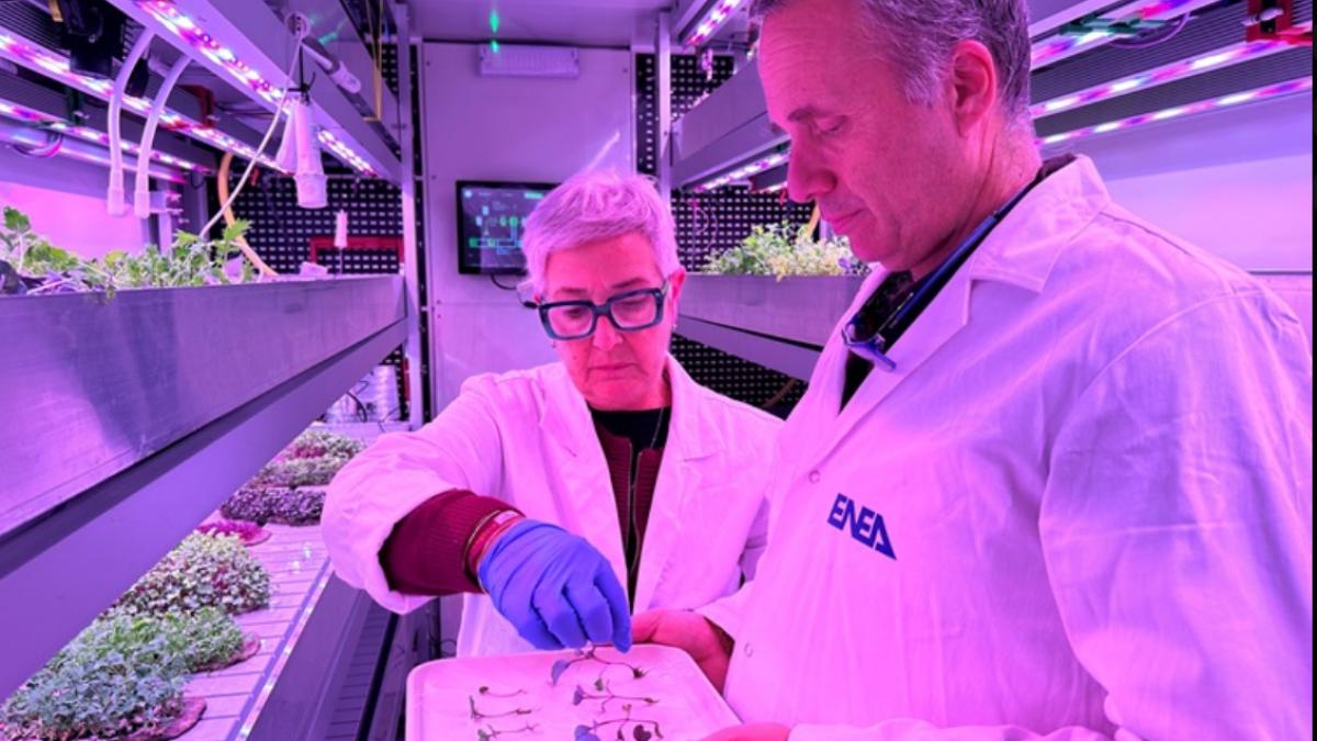 cercetatorii italieni lucreaza la realizarea unei sere de inalta tehnologie pentru a cultiva legume pe luna si pe marte