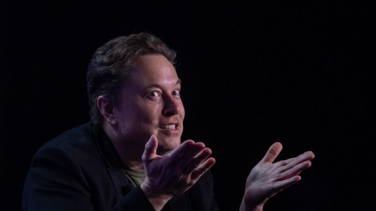 elon musk se amesteca in alegerile din germania si sustine oficial afd