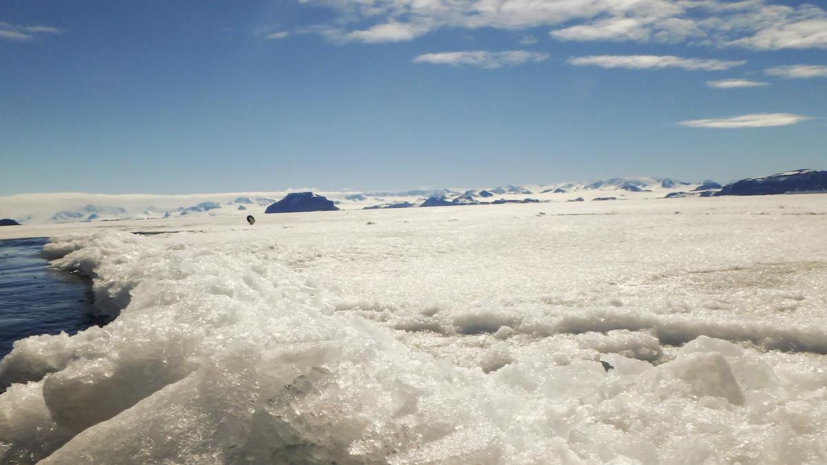 capsula a timpului descoperita intr un lac misterios din antarctica