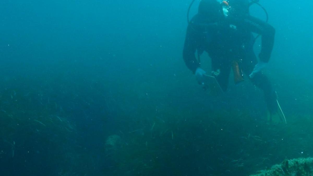 un cablu subacvatic din marea baltica a fost taiat asigura alimentarea cu energie electrica in estonia si finlanda