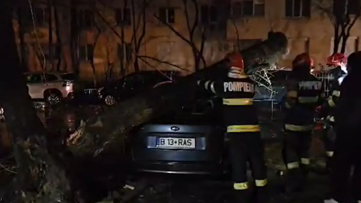 vantul puternic a facut prapad in bucuresti in noaptea de craciun zeci de masini distruse de copacii cazuti