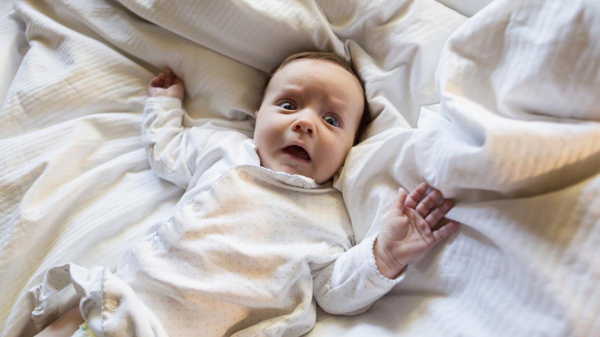 singurele doua frici cu care ne nastem sunt esentiale pentru supravietuire