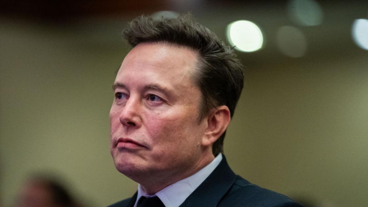 nemtii il acuza pe elon musk ca incearca sa influenteze alegerile din germania libertatea de opinie acopera si cele mai mari prostii