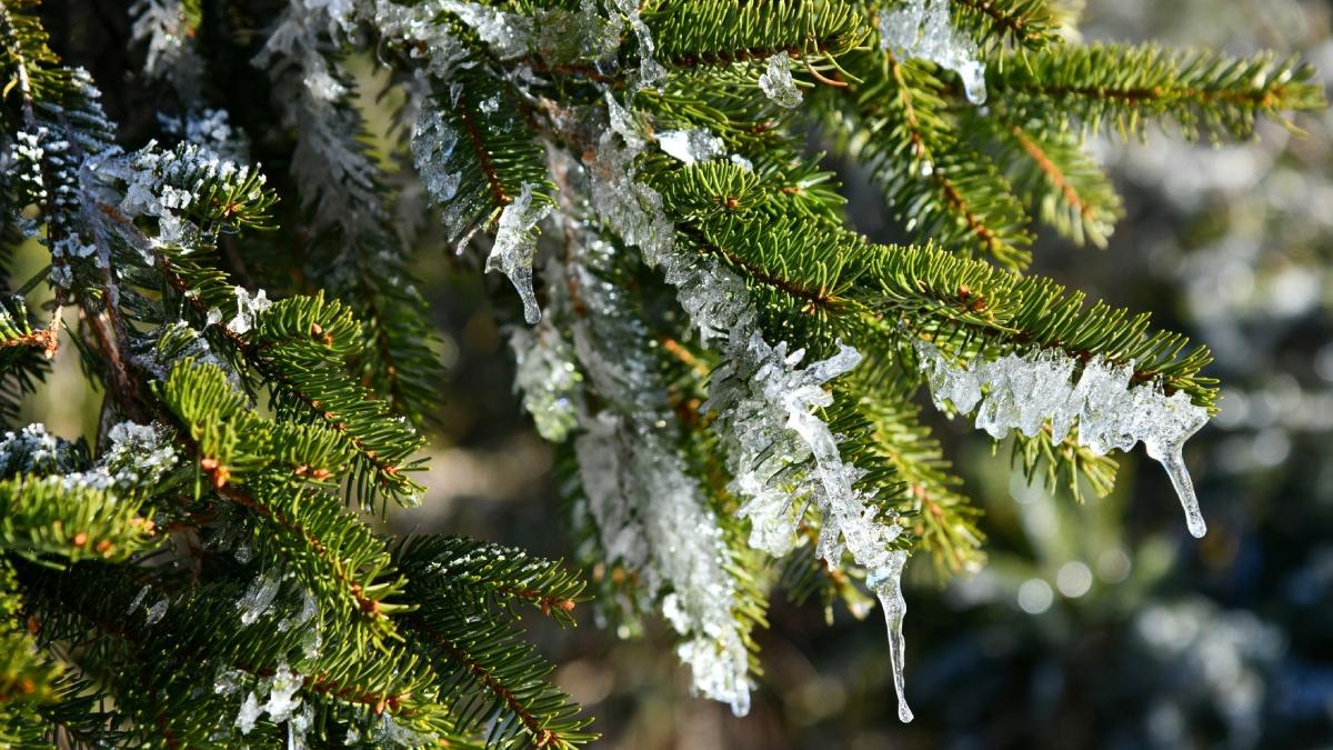 prognoza meteo pentru urmatoarele 4 saptamani ce temperaturi vom avea in primele saptamani din noul an