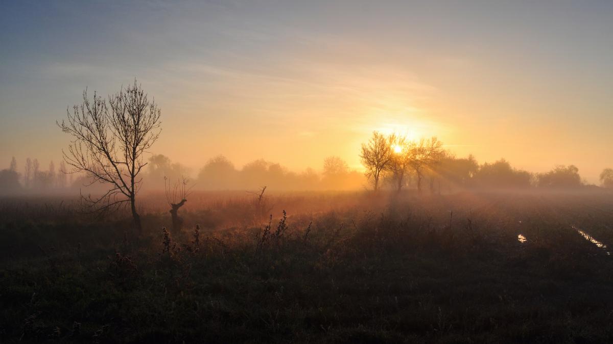 alerta meteo anm miercuri dimineata cod galben de ceata in 18 judete