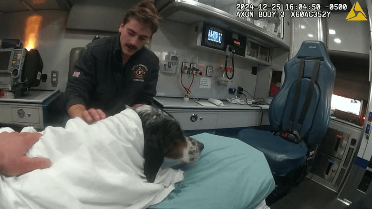 un caine a fost salvat de pe un iaz inghetat imagini impresionante cu interventia pompierilor