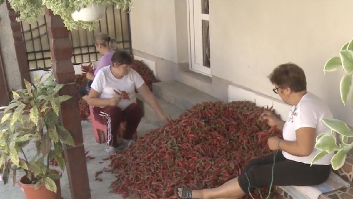 boia de apateu povestea veche de sute de ani a condimentului din romania cunoscut si in strainatate cum se prepara si cat costa